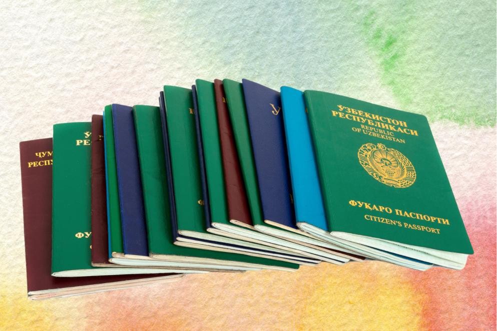 Ausländerbehörde Das Foto zeigt mehrere verschieden farbene Pässe