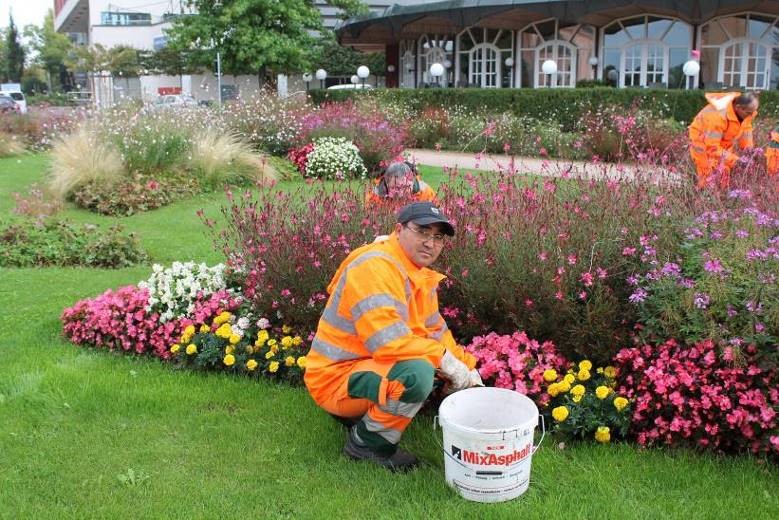 Yusuf Husseini unterstützte die technischen Betriebe der Stadt Rastatt_Foto Landratsamt Rastatt Das Foto zeigt einen Mann, der vor einem Blumenbeet kniet.